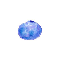 Watercolor Blueberry isolated on white background