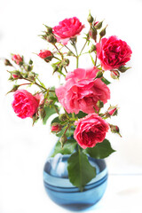 Pink Rose Flower in a vase isolated on white background