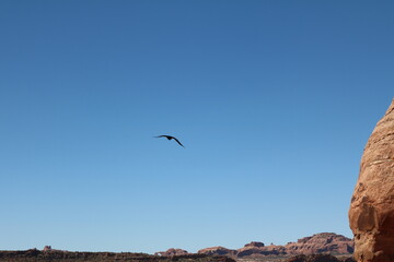 Delicate Arch Trail, Arches National Park, Utah