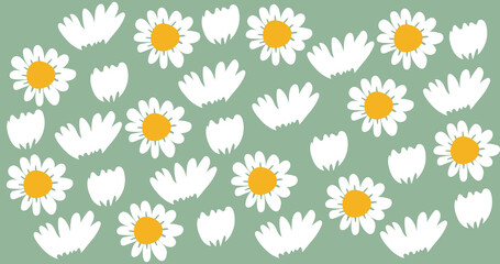 Daisy flower background vector, wallpaper and print, Vector illustration.