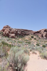 Arches National Park