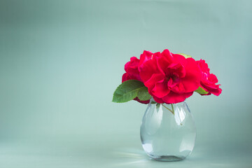 a bouquet of red roses in a transparent glass vase on a gray-green background in daylight