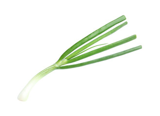 Fresh green spring onion isolated on white