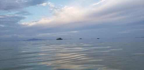 seagulls on the beach