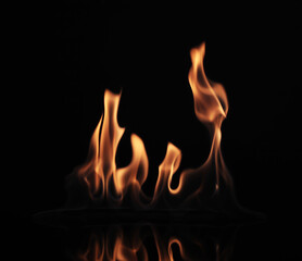 Fototapeta premium Beautiful bright fire flames on black background