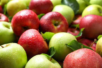 Pile of wet apples with leaves as background, closeup