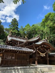 Fototapeta na wymiar 初夏の日本の神社