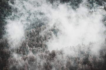 White smoke in the wooded taiga mountains from burning fire.