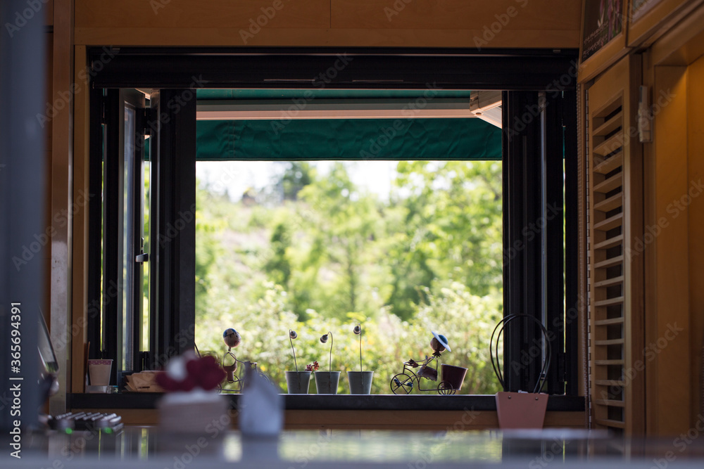 Wall mural green view seen from the inside of a cafe through opened window.