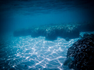 amazing blue underwater world banner