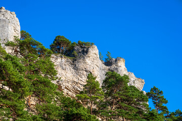 Fototapeta na wymiar Eroding limestone cliff with forest in foreground at Ihreviken nature reserve on the island of Gotland in Sweden