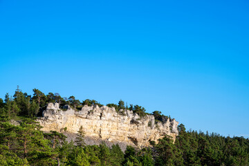 Limestone cliff with pine trees underneath, Sweden