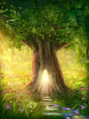 Fototapete Zauberwald Enchanted forest  © Elena Schweitzer