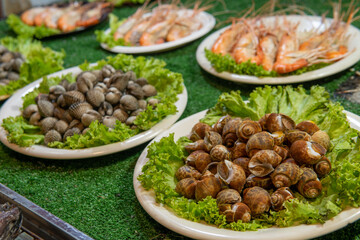 Mussels and Shrimp for sale at Night Market in Northern Thailand