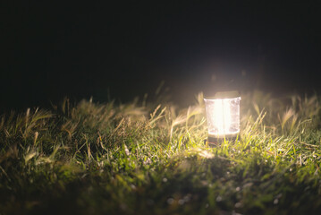 Touristic flashlight at night on green grass background. - obrazy, fototapety, plakaty