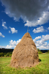 Hay bail harvesting in a summer field landscape. Agriculture field with cloudy sky - Rural nature in the farm land