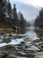 Fototapeta na wymiar river in the carpathians mountains