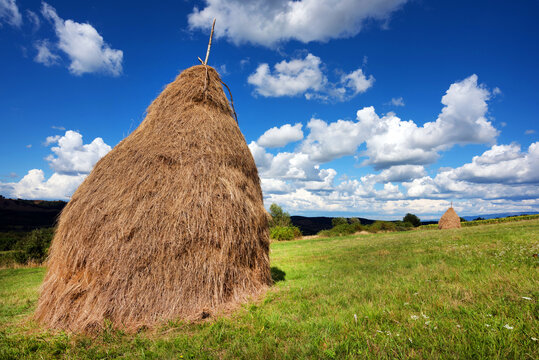 Hay bail harvesting in a summer field landscape. Agriculture field with cloudy sky - Rural nature in the farm land