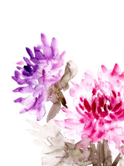 Hand drawn watercolor dahlia in pink and purple