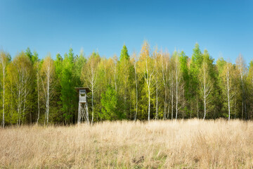 Dry yellow grass, spring forest with a hunting tower and a clear sky