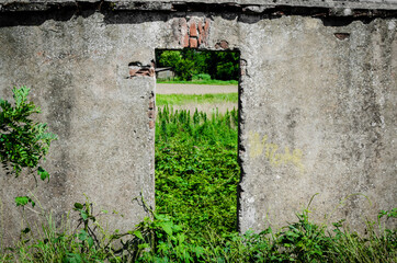La porta di una casa abbandonata spalancata su un prato verde