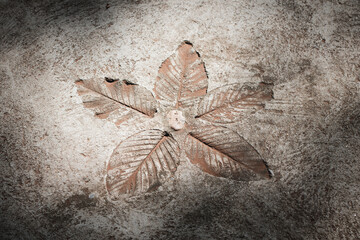 Picture of the texture of a leaf on cement