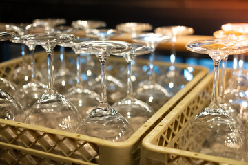 Wine empty clean glasses