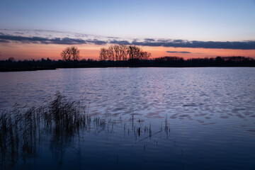 Pink blue sky after sunset on a lake with reeds