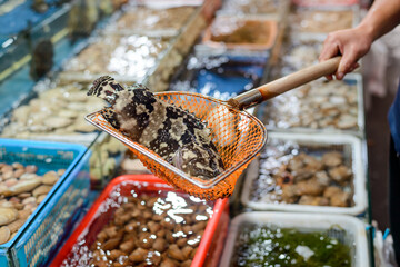 Big fish in a scoop at a Chinese market