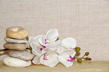 white orchid flower and natural stone pyramid, relaxing background