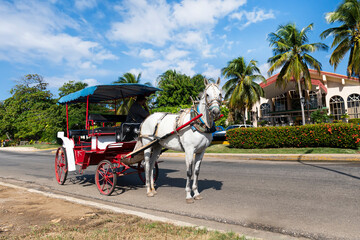 tourists on a horse taxi in Varadero