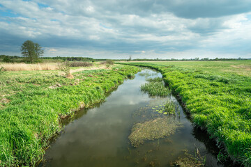 The small river Uherka flowing through green meadows in eastern Poland