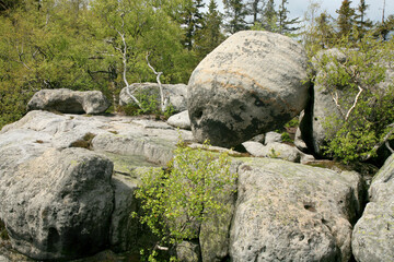 Rock formations in Szczeliniec Wielki in the Stolowe Mountains, the Sudeten range in Poland. The Stolowy Mountains National Park is a great tourist attraction