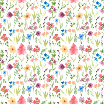 Watercolor summer seamless pattern with  pretty meadow flowers. Hand drawn wildflowers. Herbs paper. Field florals bouquet.