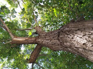 Empty parks during quarantine