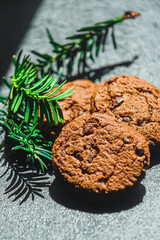 christmas cookies with chocolate coniferous branch on the table