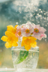 Still life of flowers Anemones and Hypericum