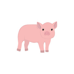 Fototapeta premium Pig Illustration