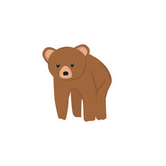 Bear Illustration