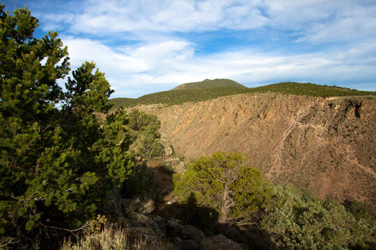 A colorful rock wall and pinyon-juniper woodland along the Rio Grande Gorge in Rio Grande del Norte National Monument in New Mexico
