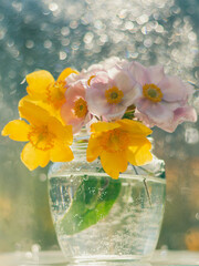Still life of flowers Anemones and Hypericum