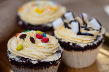 sweet chocolate cupcake vintage picnic