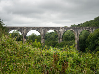 Fototapeta na wymiar Holsworthy, Derriton railway viaduct. Landscape view. Devon, UK.