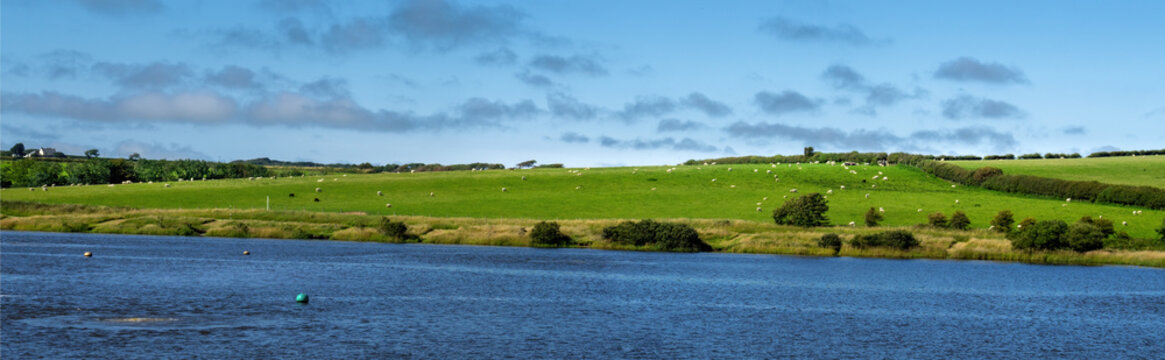 View Of Upper Tamar Lake, On The Devon Cornwall Border, UK.