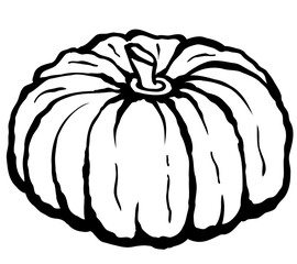 Pumpkin, hand drawn, isolated on white background. Suitable for menu and web design and poscard and banner design. Vector illustration.