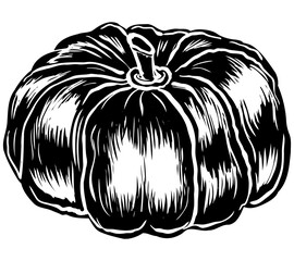 Pumpkin, halloween, hand drawn, isolated on white background. Suitable for menu and web design and poscard and banner design. Vector illustration.