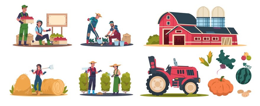 Cartoon eco farming. Agricultural workers doing farming job, cropping and selling organic products. Rural work and organic production vector illustration scenes set