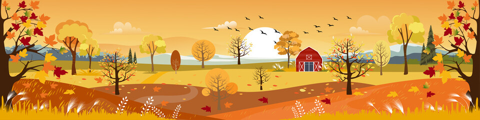 Naklejka na ściany i meble Panorama of Countryside landscape in autumn, Vector illustration of horizontal banner of Autumn landscape, barn, mountains and maple leaves falling from the trees in yellow foliage. Fall seasons