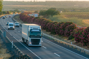 Truck with refrigerated semi-trailer driving on the highway