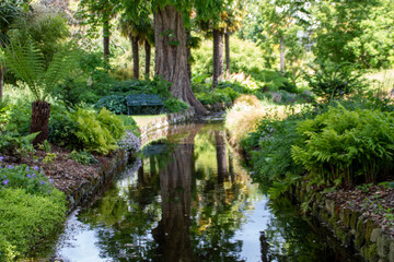 beautiful woodland scene reflecting in the water